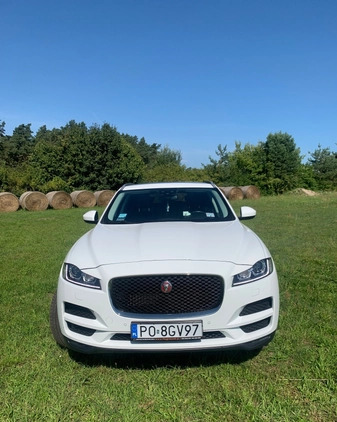 Jaguar F-Pace cena 120000 przebieg: 71000, rok produkcji 2018 z Świnoujście małe 37